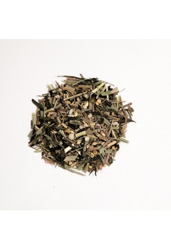 Имбирь и мед чай на основе зеленого