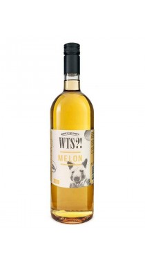 Дыня cироп WTS, бутылка стекло 1 л